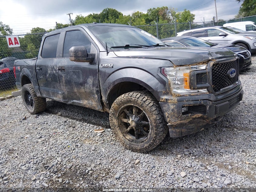 2019 FORD F-150 XL | 1FTEW1E52KFB26746 | UPCARS