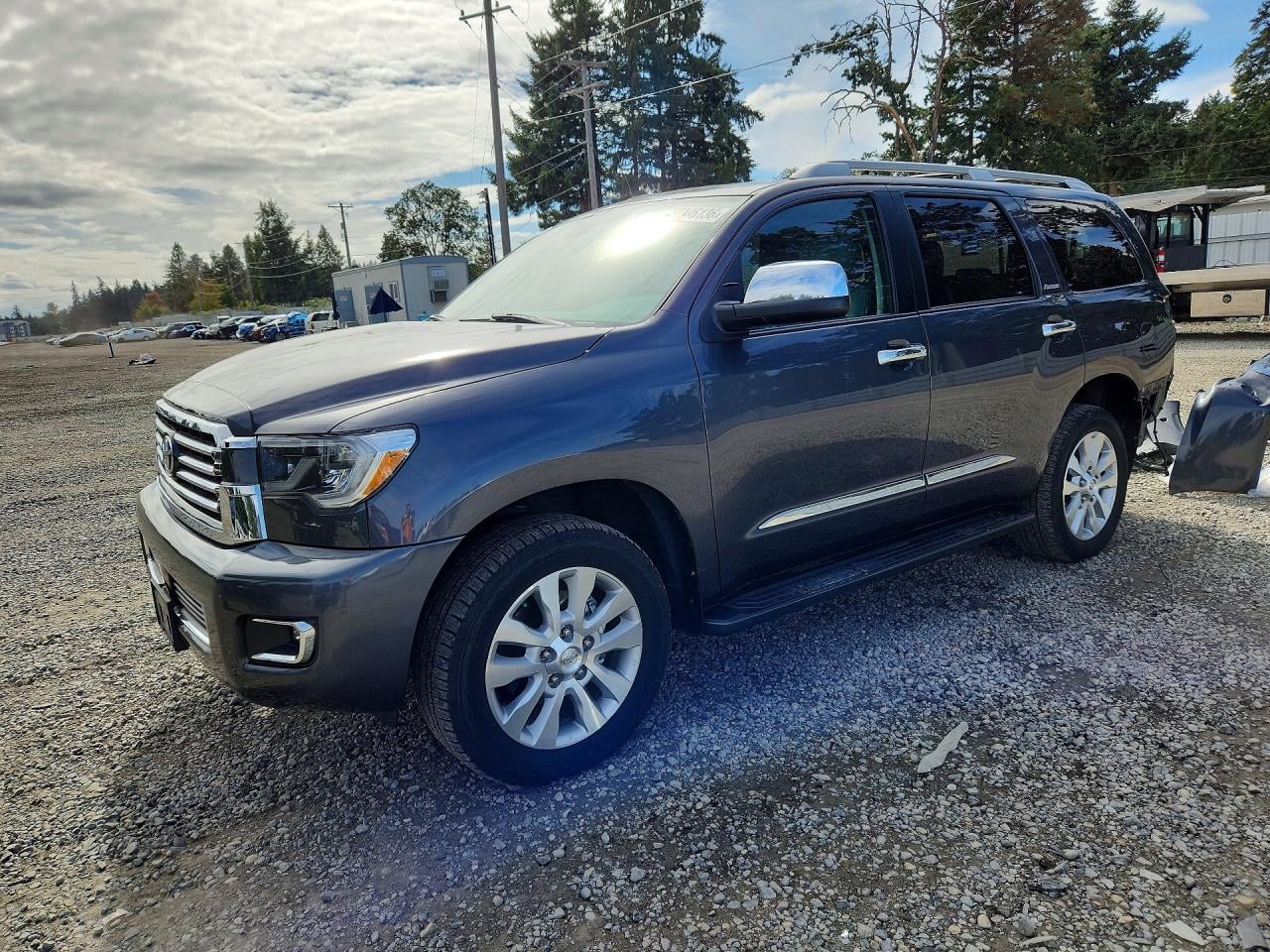 2018 TOYOTA SEQUOIA PLATINUM | 5TDDY5G19JS160432 | UPCARS