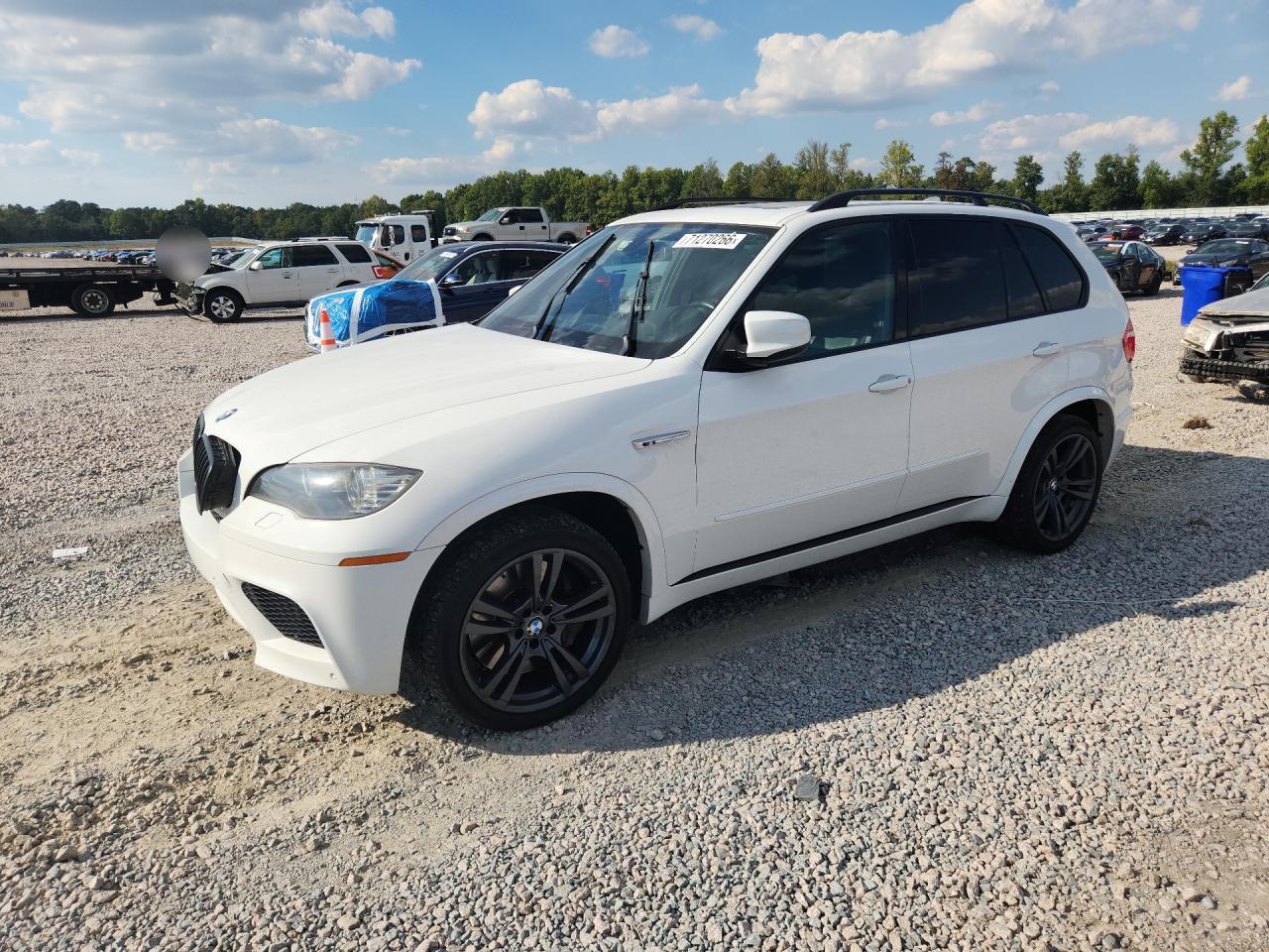 2010 BMW X5 M | 5YMGY0C51ALK25582 | UPCARS