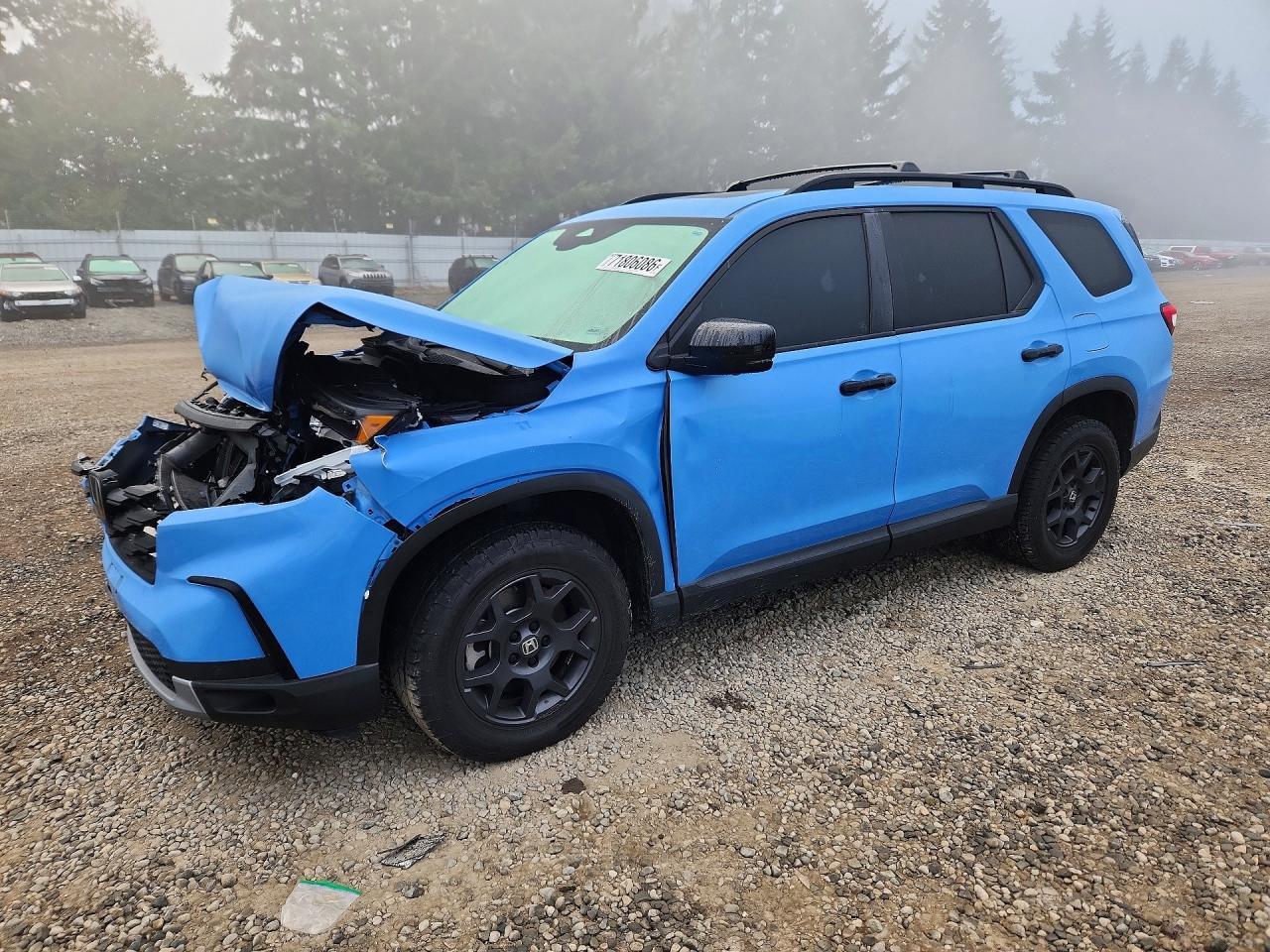 2023 HONDA PILO TRAILSPORT | 5FNYG1H68PB027598 | UPCARS