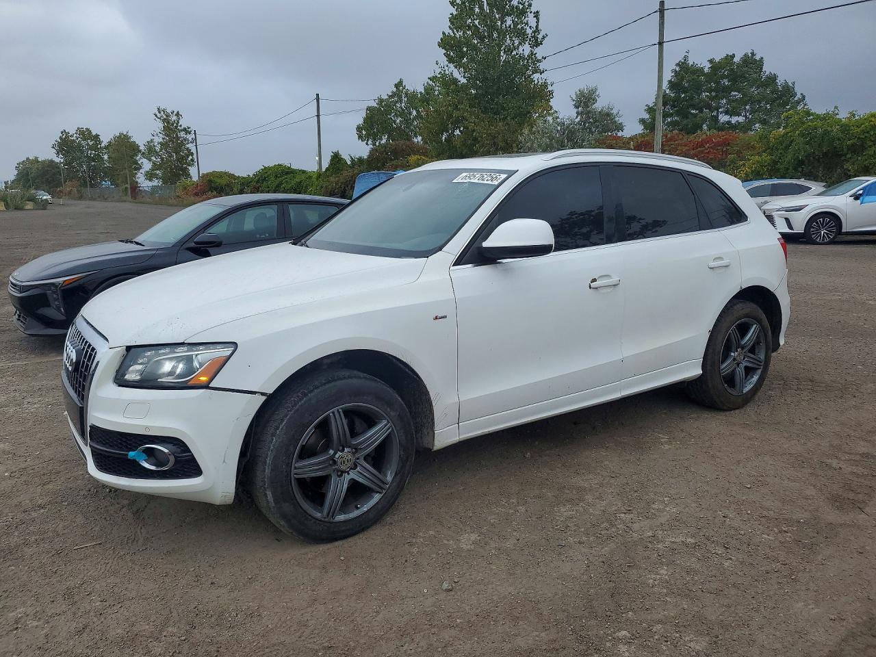 2010 AUDI Q5 PREMIUM PLUS | WA1MKCFPXAA075909 | UPCARS