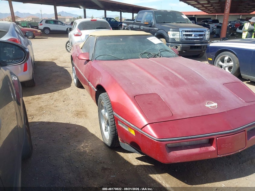 1989 CHEVROLET CORVETTE | 1G1YY3189K5111369 | UPCARS