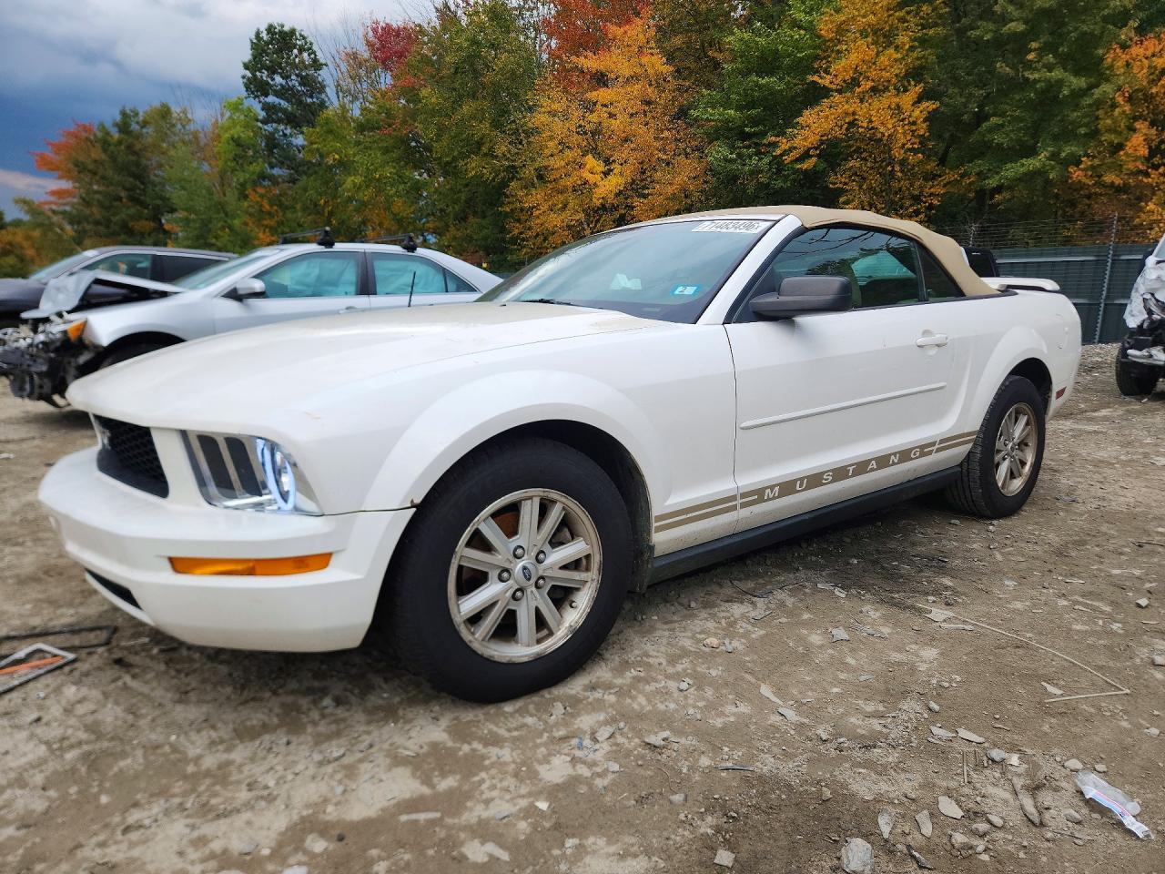 2006 FORD MUSTANG | 1ZVFT84NX65234807 | UPCARS