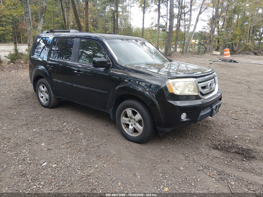 2011 HONDA PILOT EX-L | 5FNYF4H53BB053675 | UPCARS