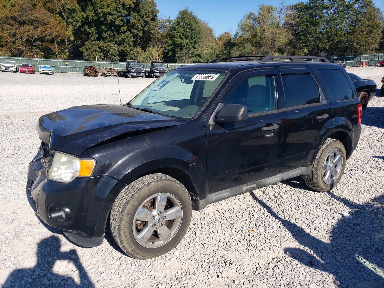 2011 FORD ESCAPE XLT | 1FMCU0DG7BKB95381 | UPCARS
