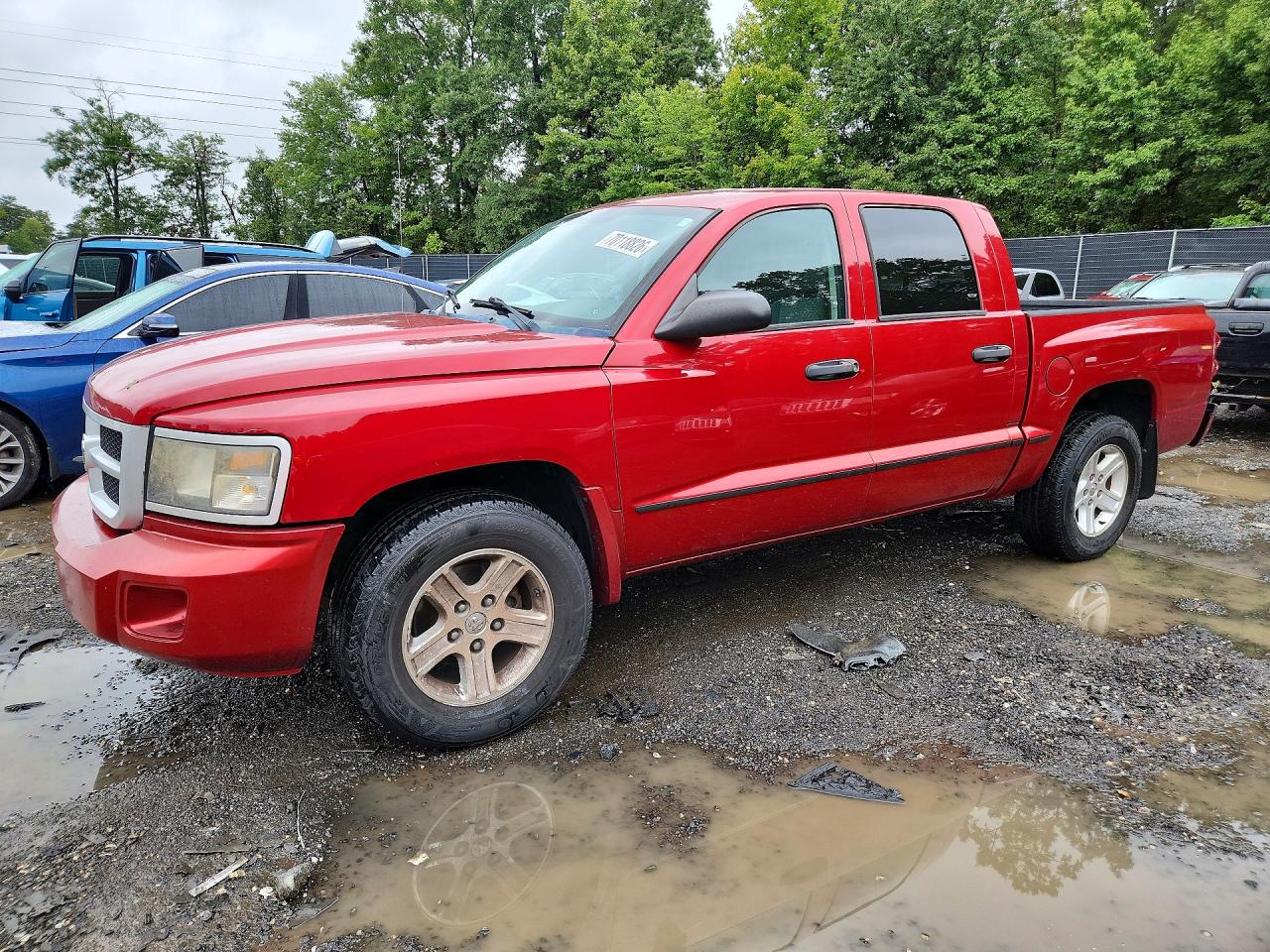 2010 DODGE DAKOTA SXT | 1D7CE3GK0AS241415 | UPCARS