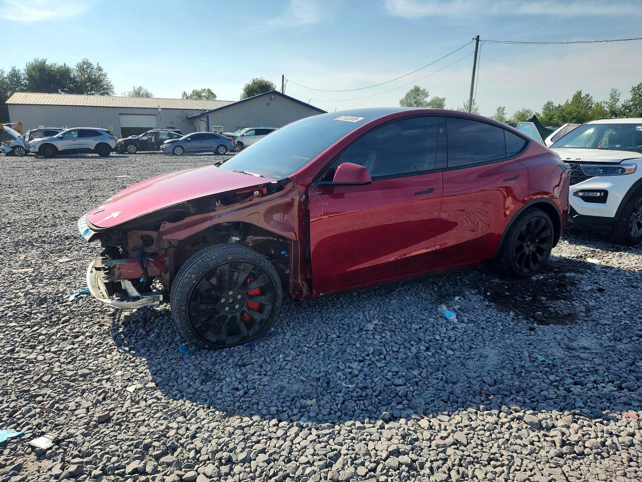 2025 TESLA MODEL Y | 7SAYGDEE4SF264047 | UPCARS