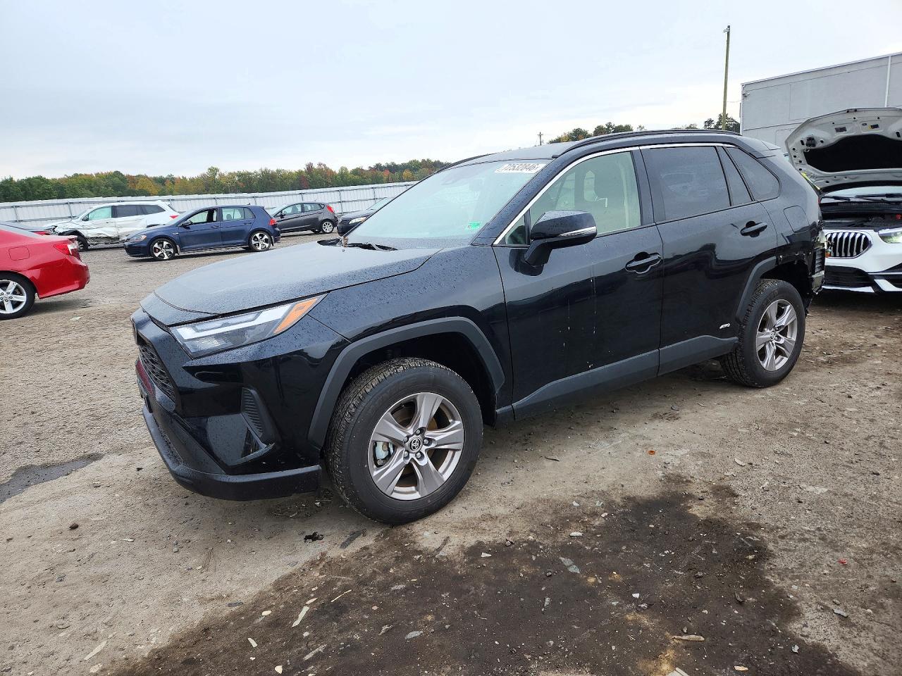 2025 TOYOTA RAV4 XLE | JTMRWRFV1SJ087854 | UPCARS