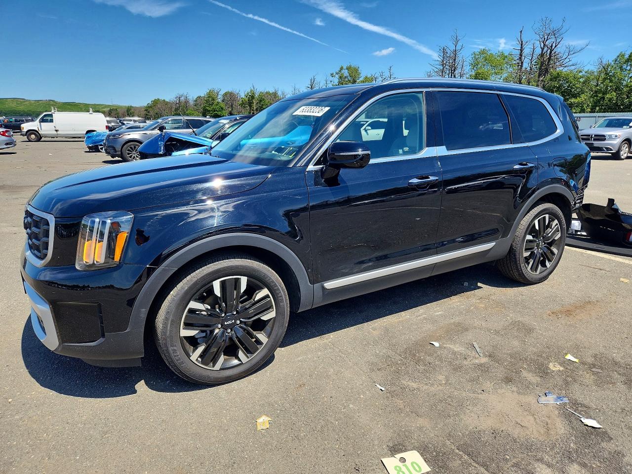 2024 KIA TELLURIDE SX | 5XYP5DGC3RG566457 | UPCARS