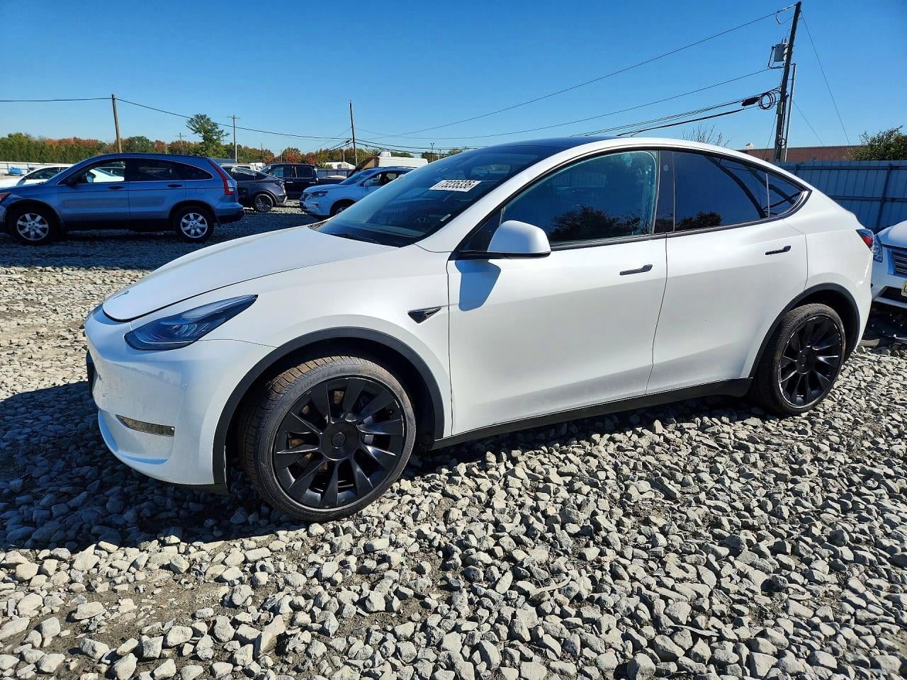 2023 TESLA MODEL Y | 7SAYGDEE7PA059519 | UPCARS