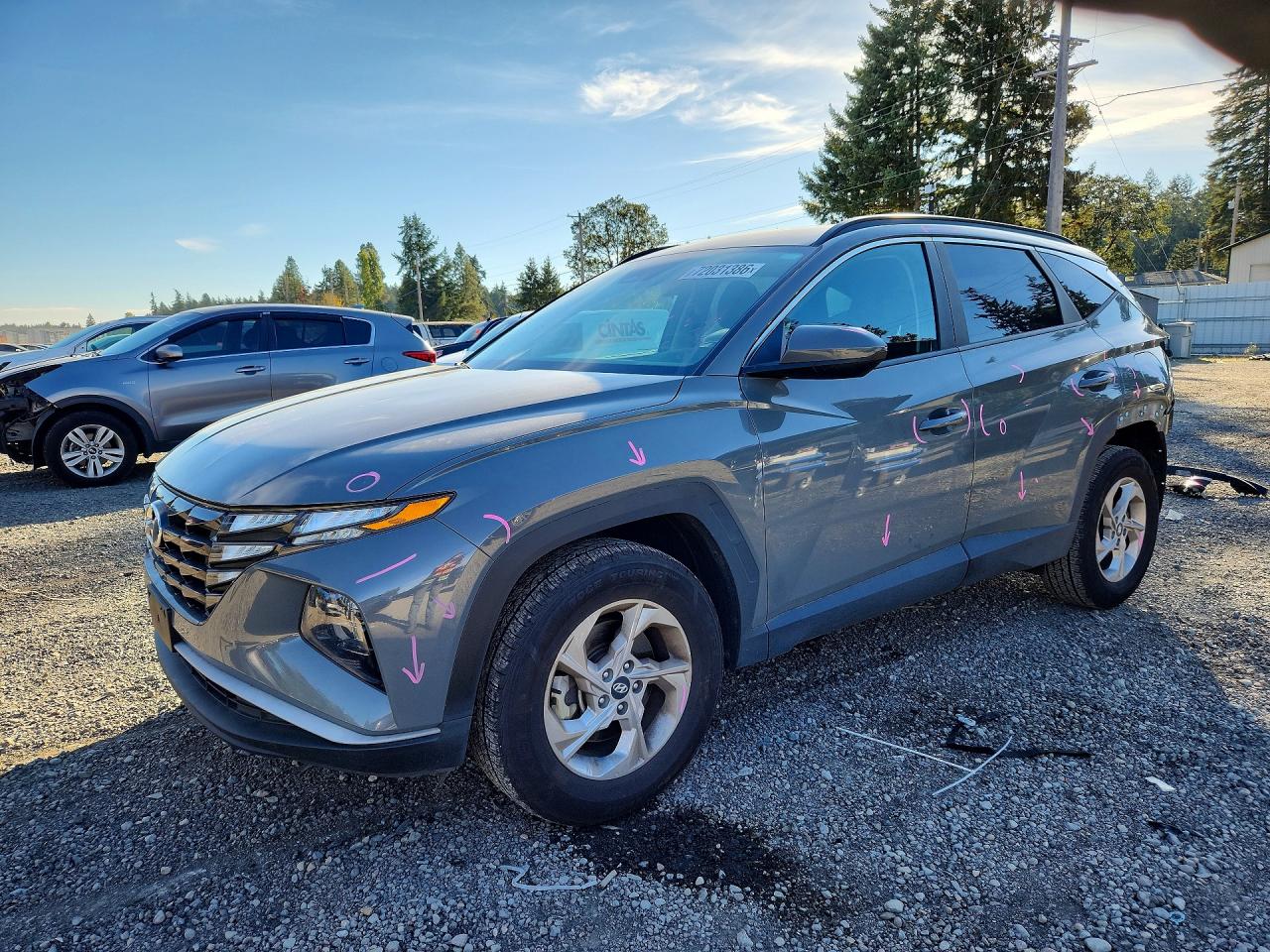 2024 HYUNDAI TUCSON SEL | 5NMJBCDE1RH341247 | UPCARS
