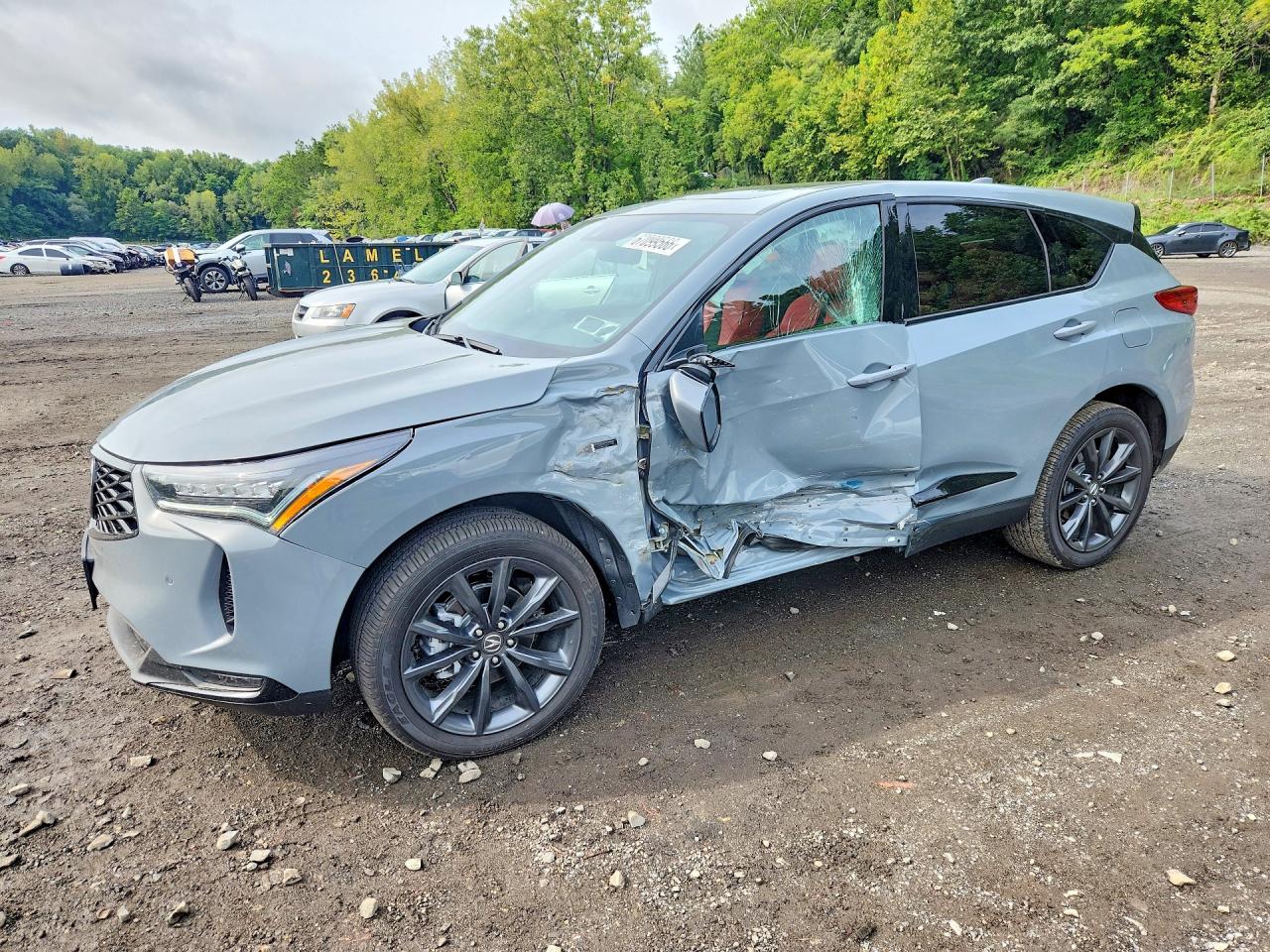 2025 ACURA RDX A-SPEC | 5J8TC2H64SL035250 | UPCARS