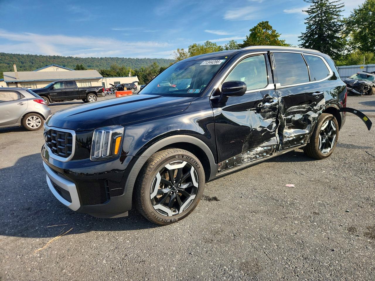 2024 KIA TELLURIDE S | 5XYP6DGC5RG492035 | UPCARS