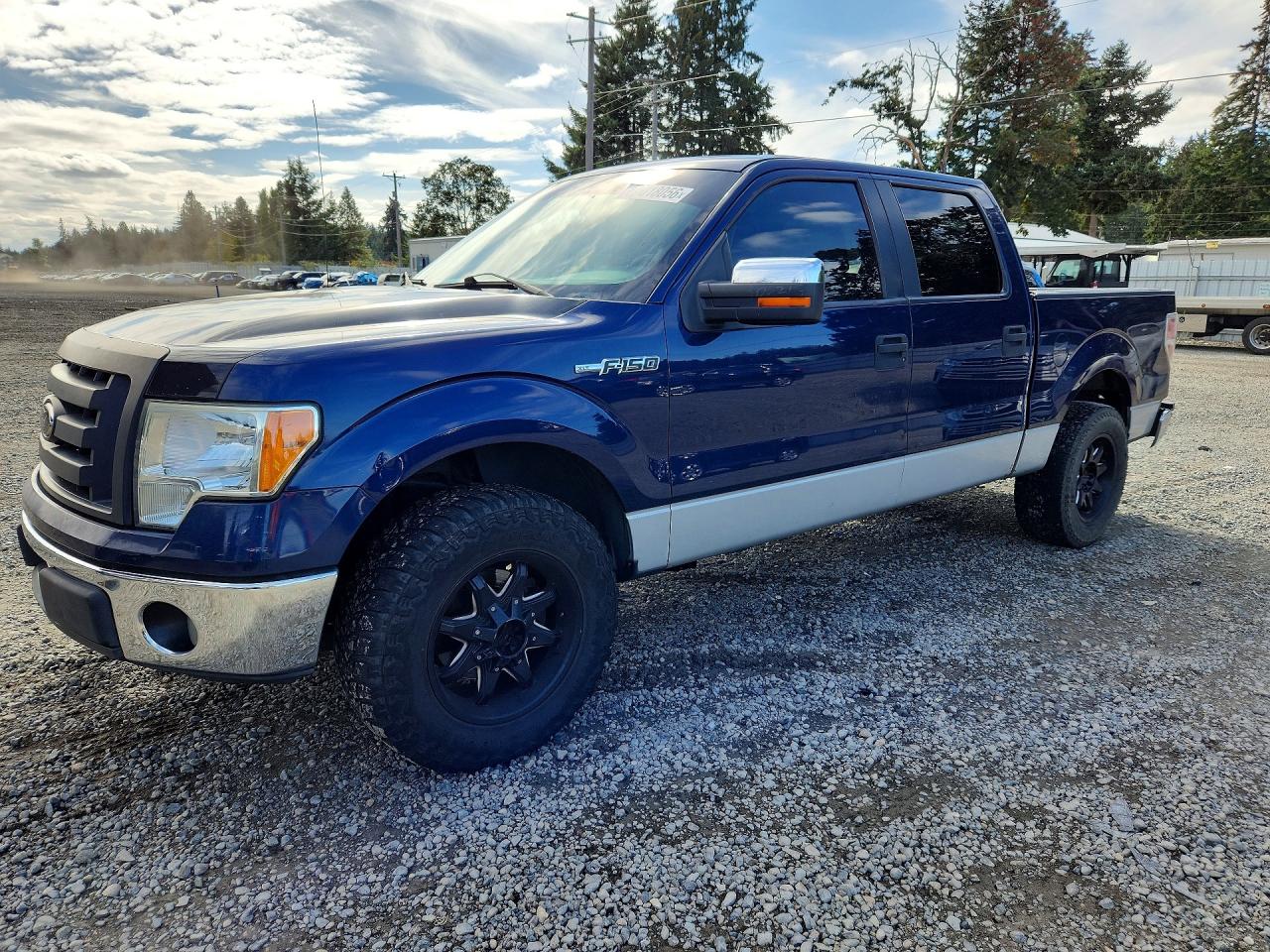 2009 FORD F150 SUPERCREW | 1FTRW12829FA07413 | UPCARS