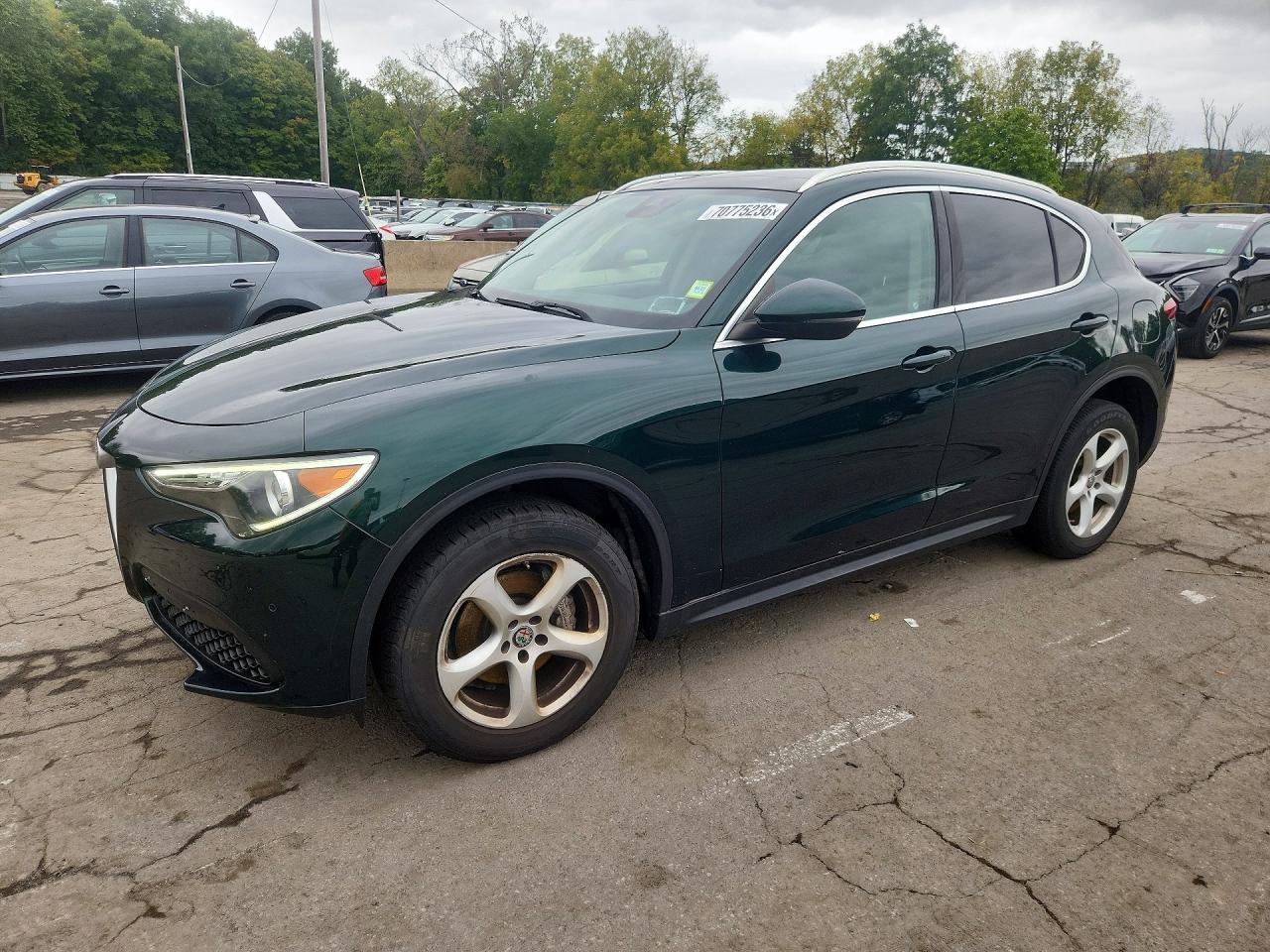 2019 ALFA ROMEO STELVIO | ZASPAKAN9K7C48444 | UPCARS