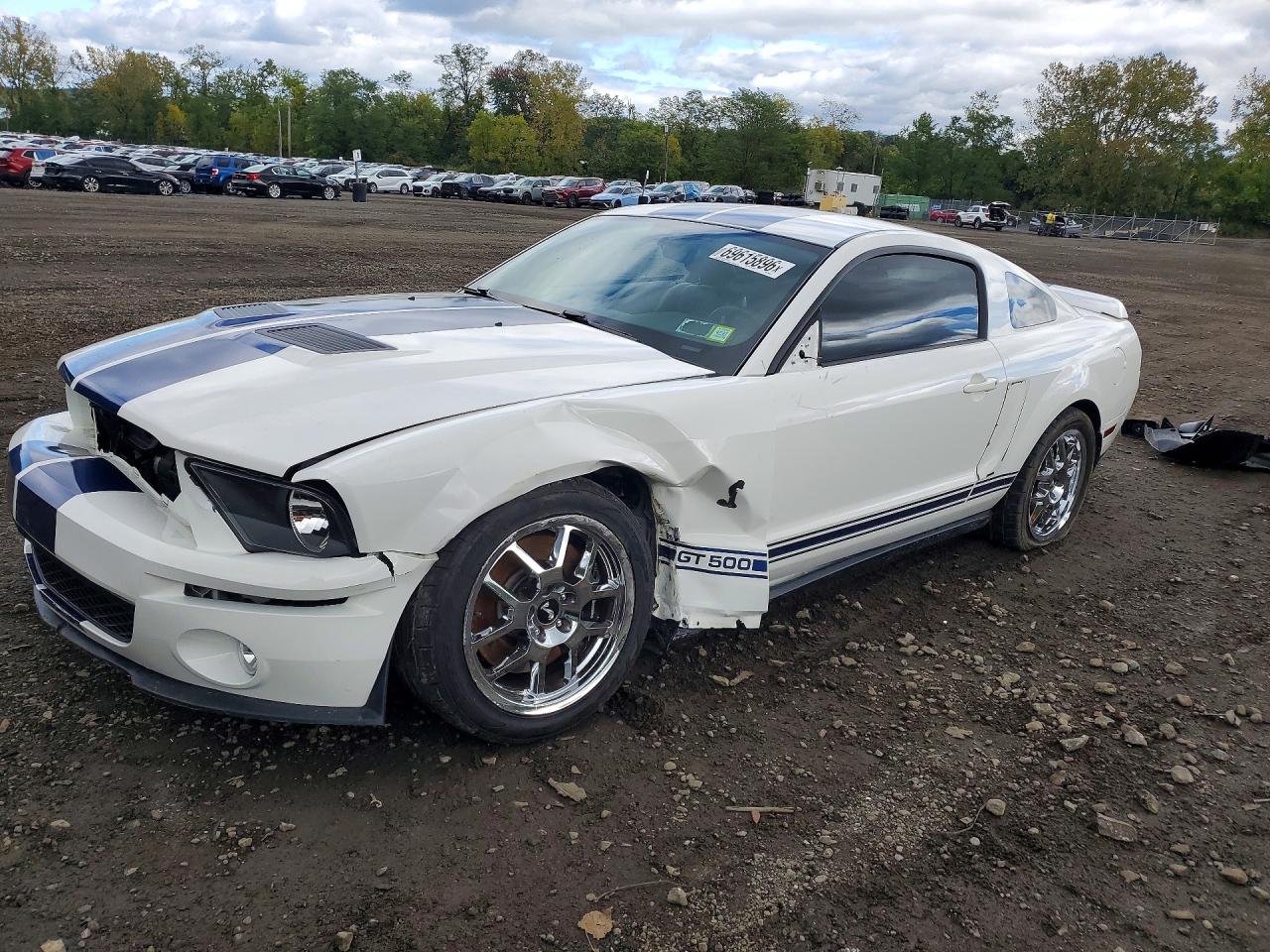 2007 FORD MUSTANG SHELBY GT500 | 1ZVHT88S175240330 | UPCARS