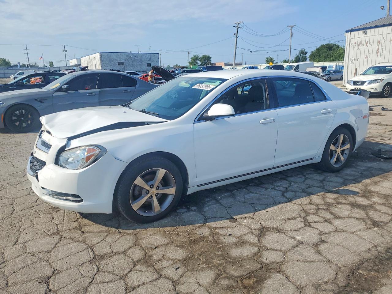 2011 CHEVROLET MALIBU 1LT | 1G1ZC5E19BF264274 | UPCARS
