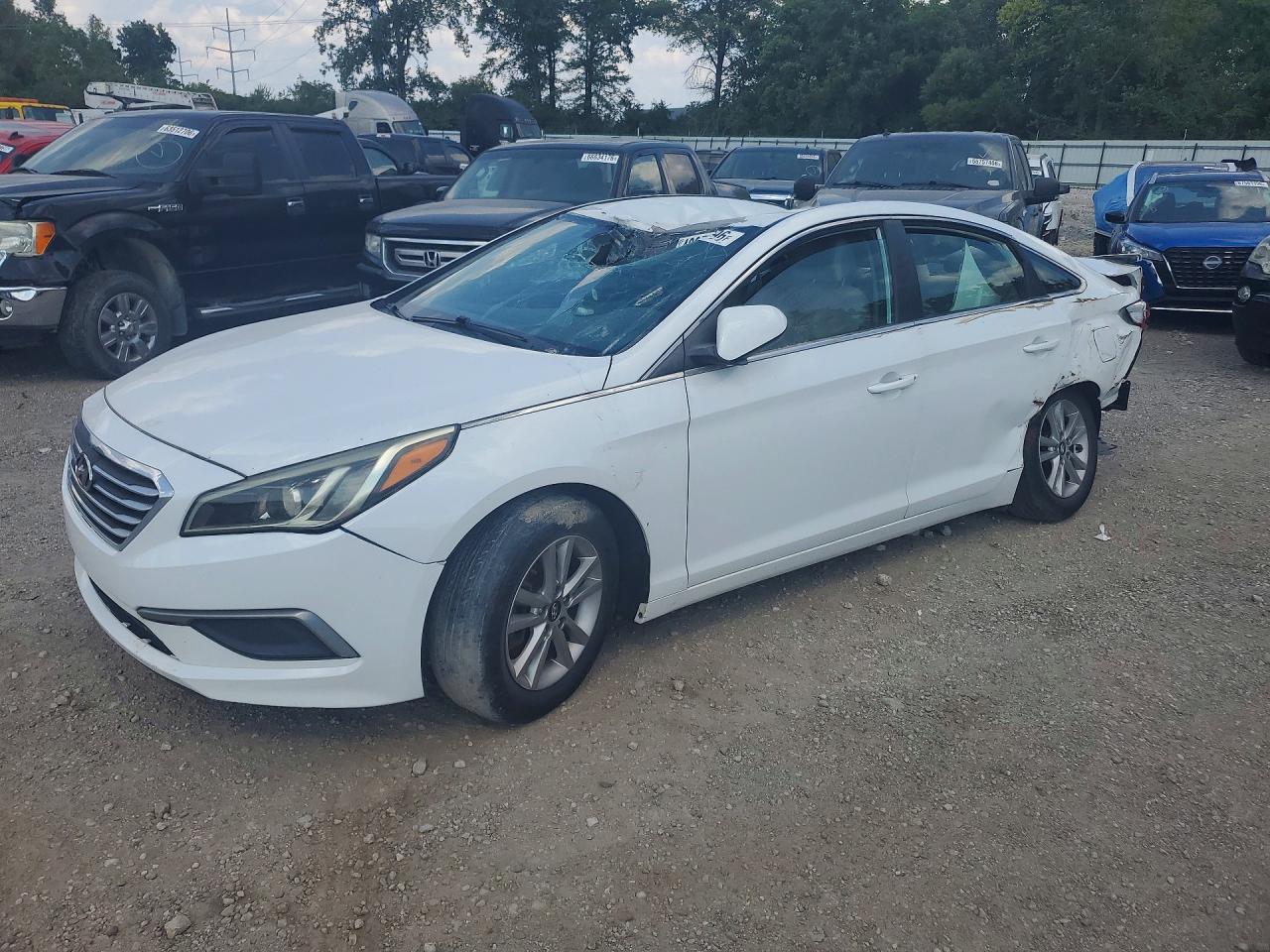 2016 HYUNDAI SONATA SE | 5NPE24AF7GH390084 | UPCARS