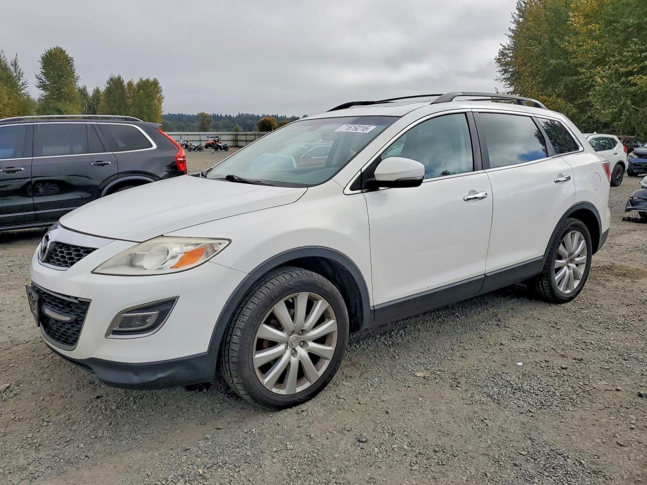 2010 MAZDA CX-9 | JM3TB3MVXA0220821 | UPCARS