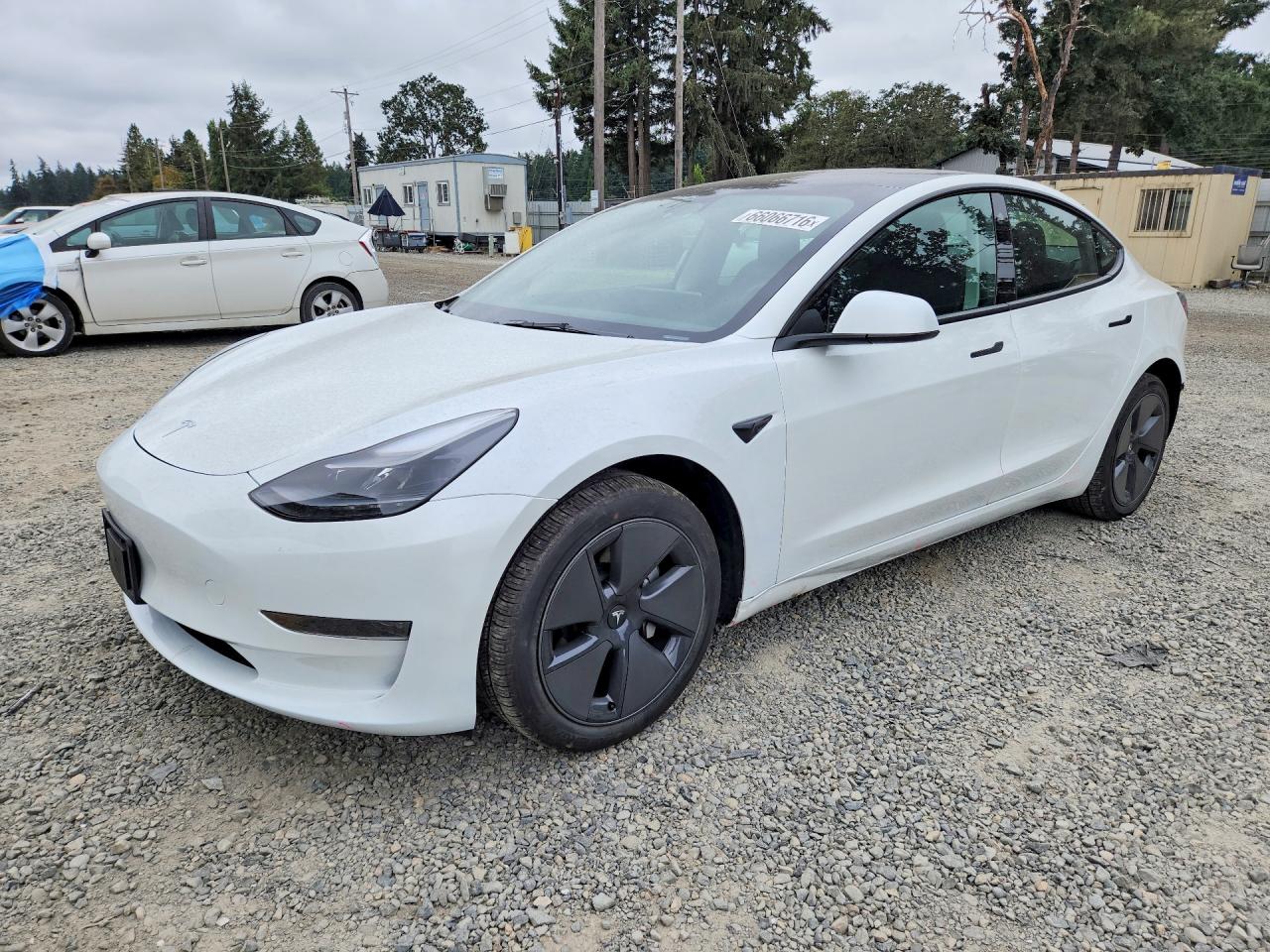2023 TESLA MODEL 3 | 5YJ3E1EA4PF542333 | UPCARS