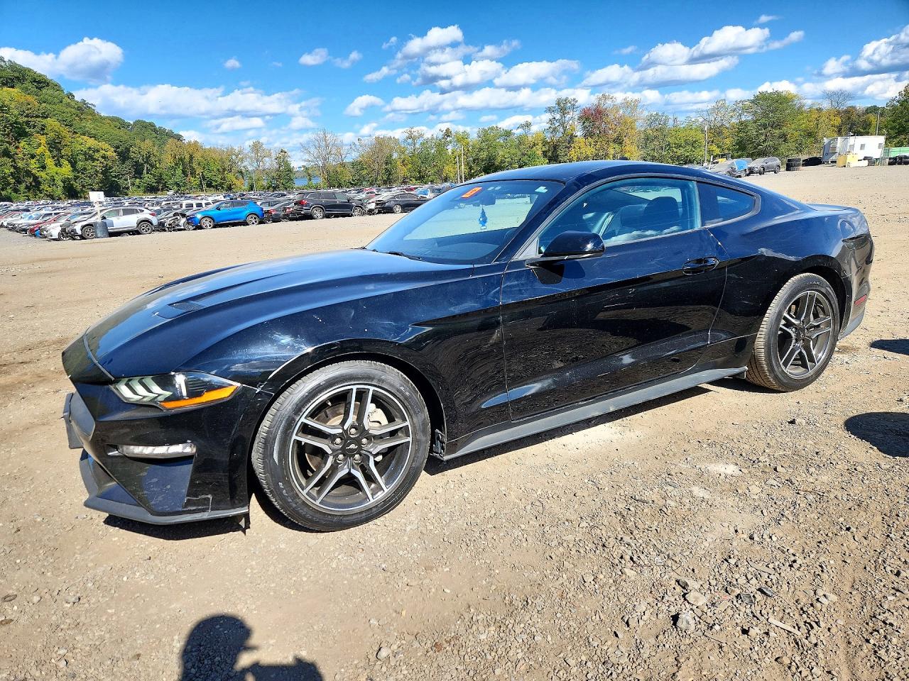 2021 FORD MUSTANG | 1FA6P8TH3M5157672 | UPCARS