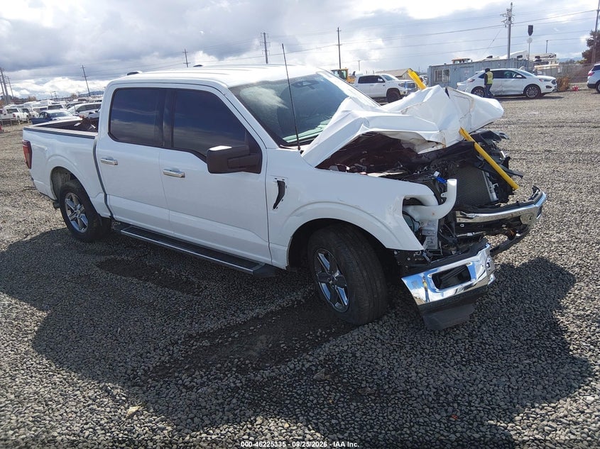 2025 FORD F-150 XLT | 1FTEW3K82SKE88982 | UPCARS