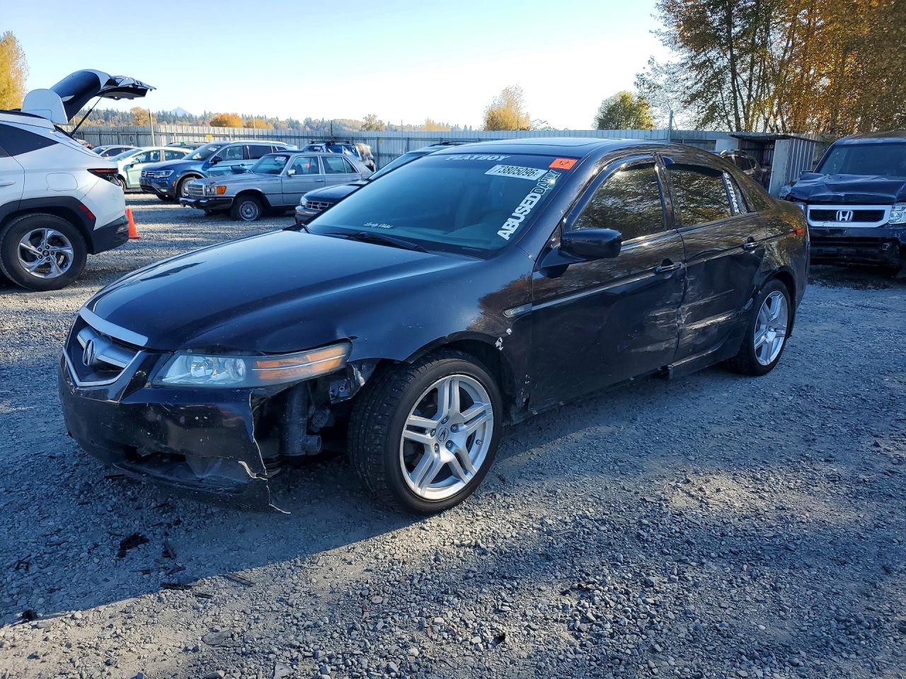 2005 ACURA TL | 19UUA66225A038794 | UPCARS