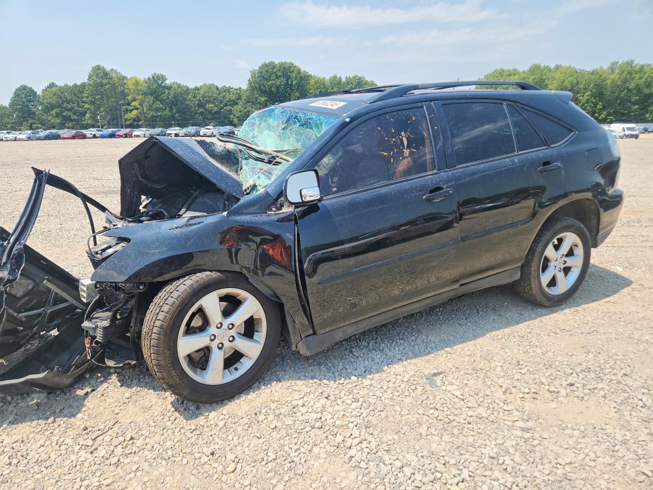 2005 LEXUS RX 330 | 2T2GA31U25C027689 | UPCARS