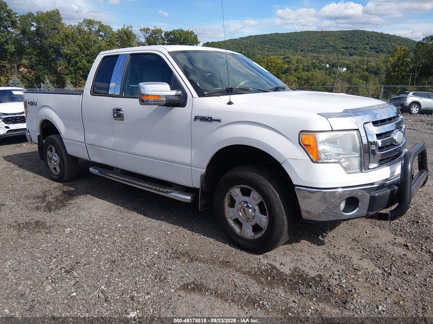 2009 FORD F-150 STX/XL/XLT | 1FTRX14899FA79185 | UPCARS
