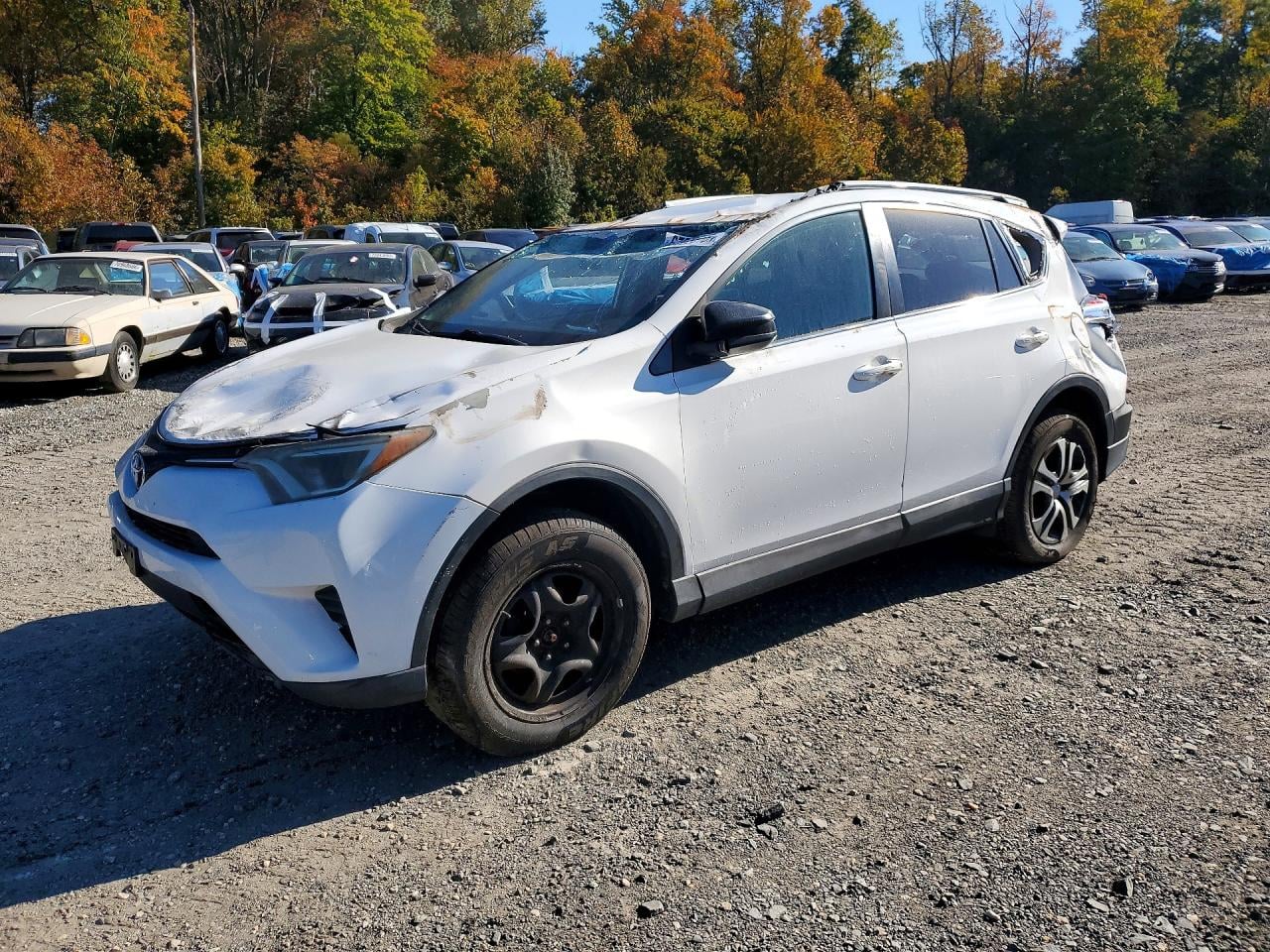 2016 TOYOTA RAV4 LE | 2T3BFREV1GW508919 | UPCARS
