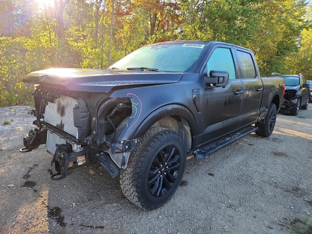 2025 FORD F150 XLT | 1FTFW3L85SKF06894 | UPCARS