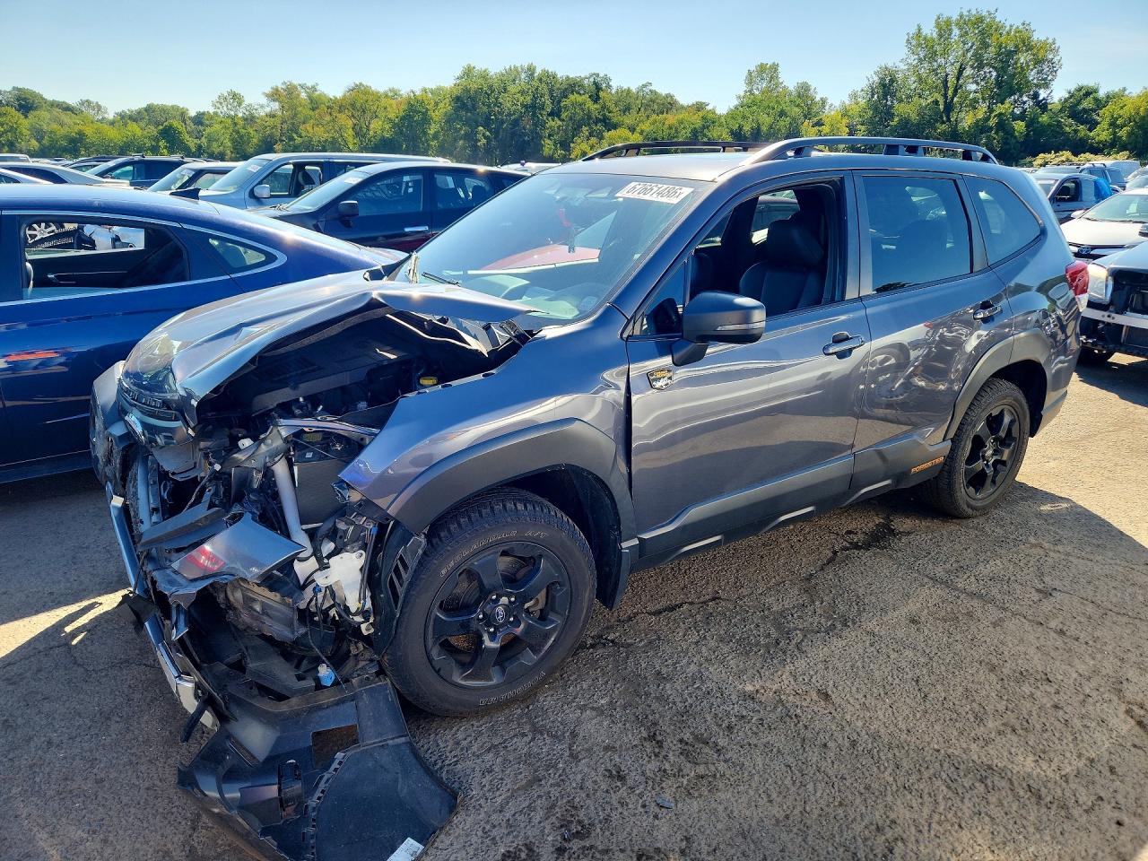 2022 SUBARU FORESTER WILDERNESS | JF2SKAMC9NH401974 | UPCARS