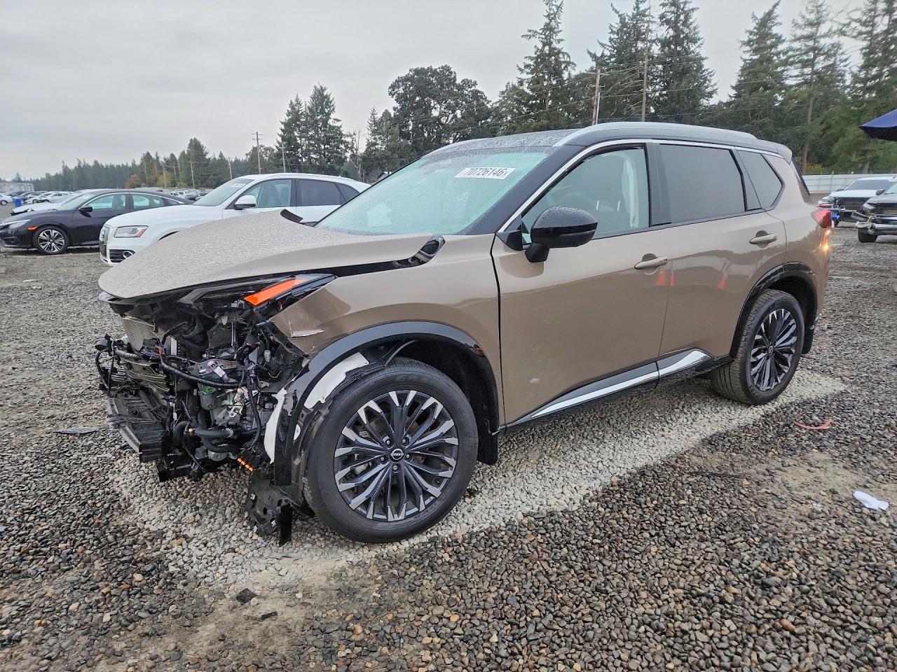 2024 NISSAN ROGUE PLATINUM | JN8BT3DD8RW453666 | UPCARS