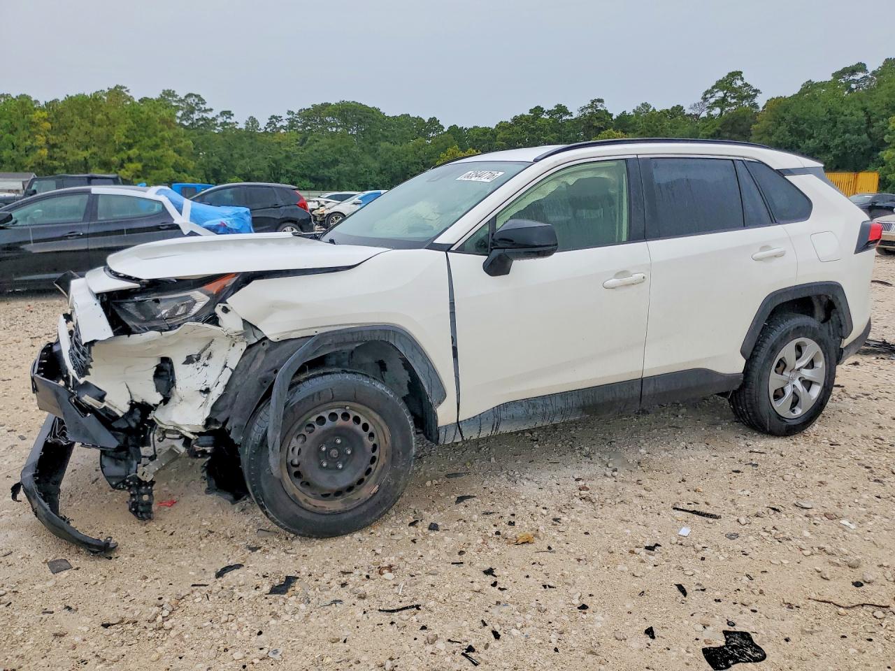 2019 TOYOTA RAV4 LE | JTMH1RFVXKD517275 | UPCARS