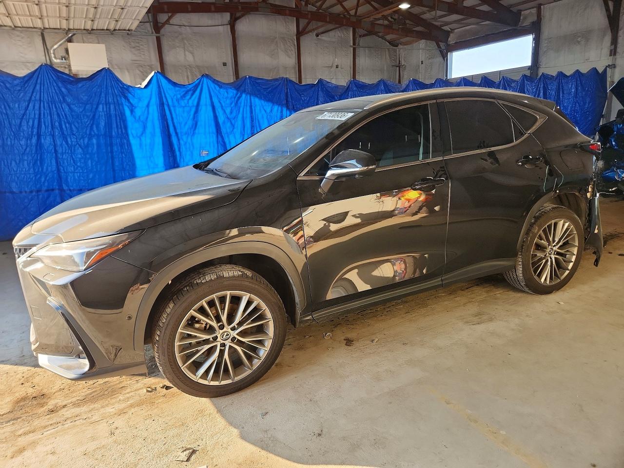 2024 LEXUS NX LUXURY | 2T2HKCEZ9RC027282 | UPCARS