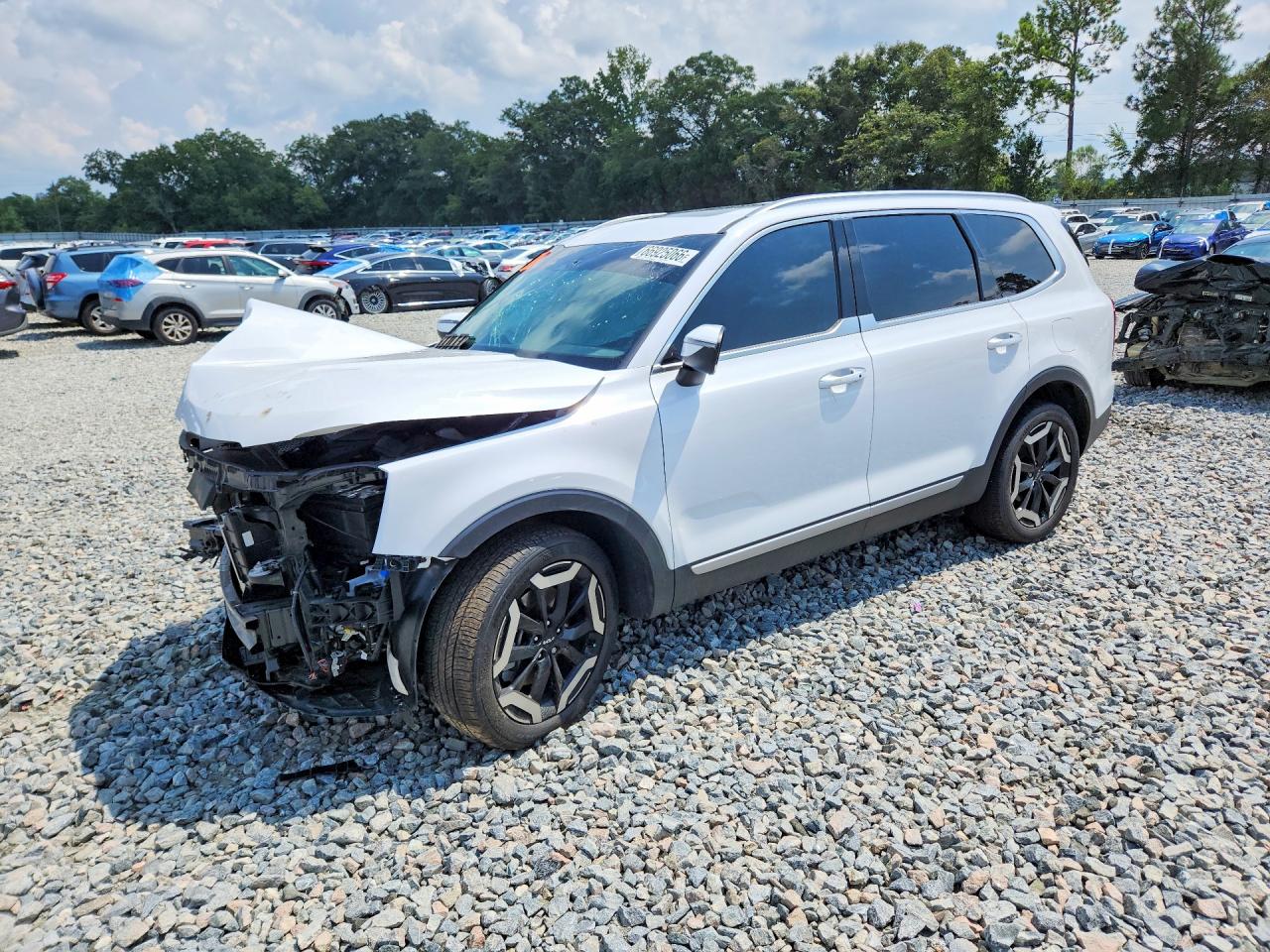 2025 KIA TELLURIDE S | 5XYP64GC2SG623184 | UPCARS