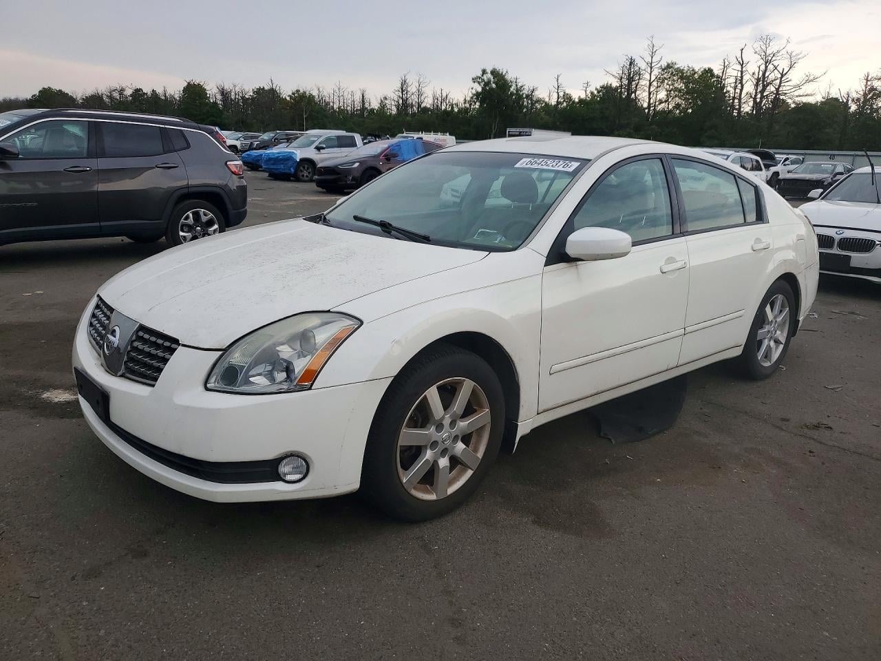 2004 NISSAN MAXIMA 3.5 SE | 1N4BA41E54C889573 | UPCARS