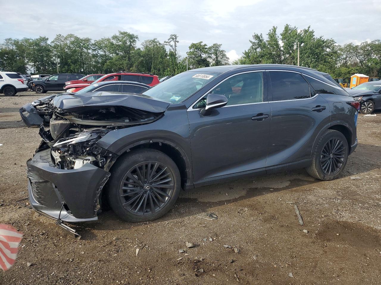 2025 LEXUS RX350 PREMIUM | 2T2BAMCA7SC093833 | UPCARS