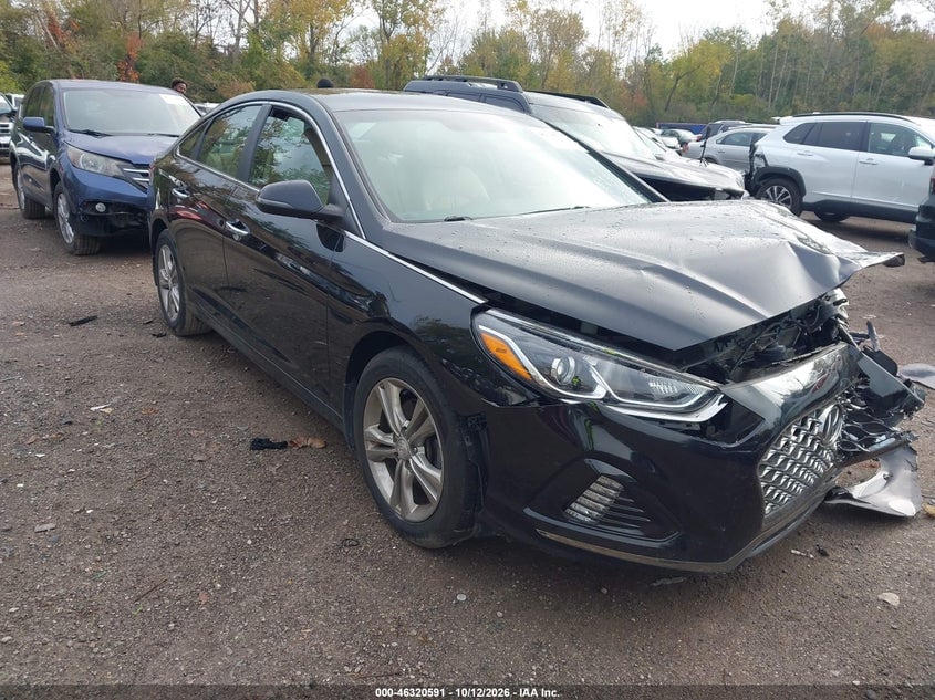 2019 HYUNDAI SONATA SEL | 5NPE34AF8KH813146 | UPCARS