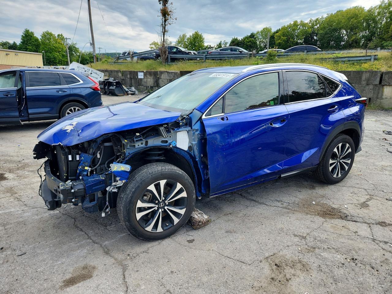 2021 LEXUS NX F SPORT | JTJSARDZ6M2245704 | UPCARS