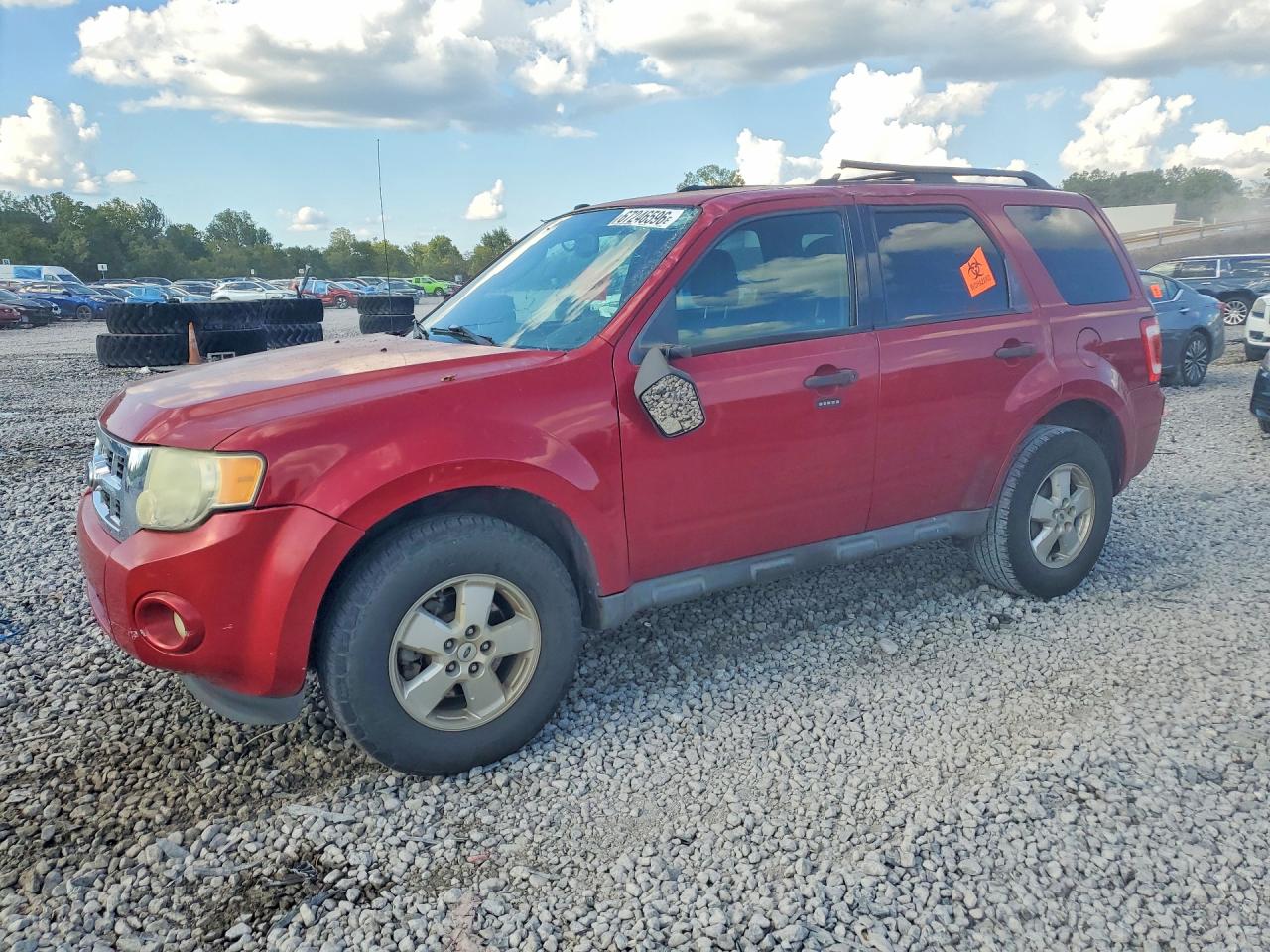 2010 FORD ESCAPE XLT | 1FMCU0D73AKA71803 | UPCARS