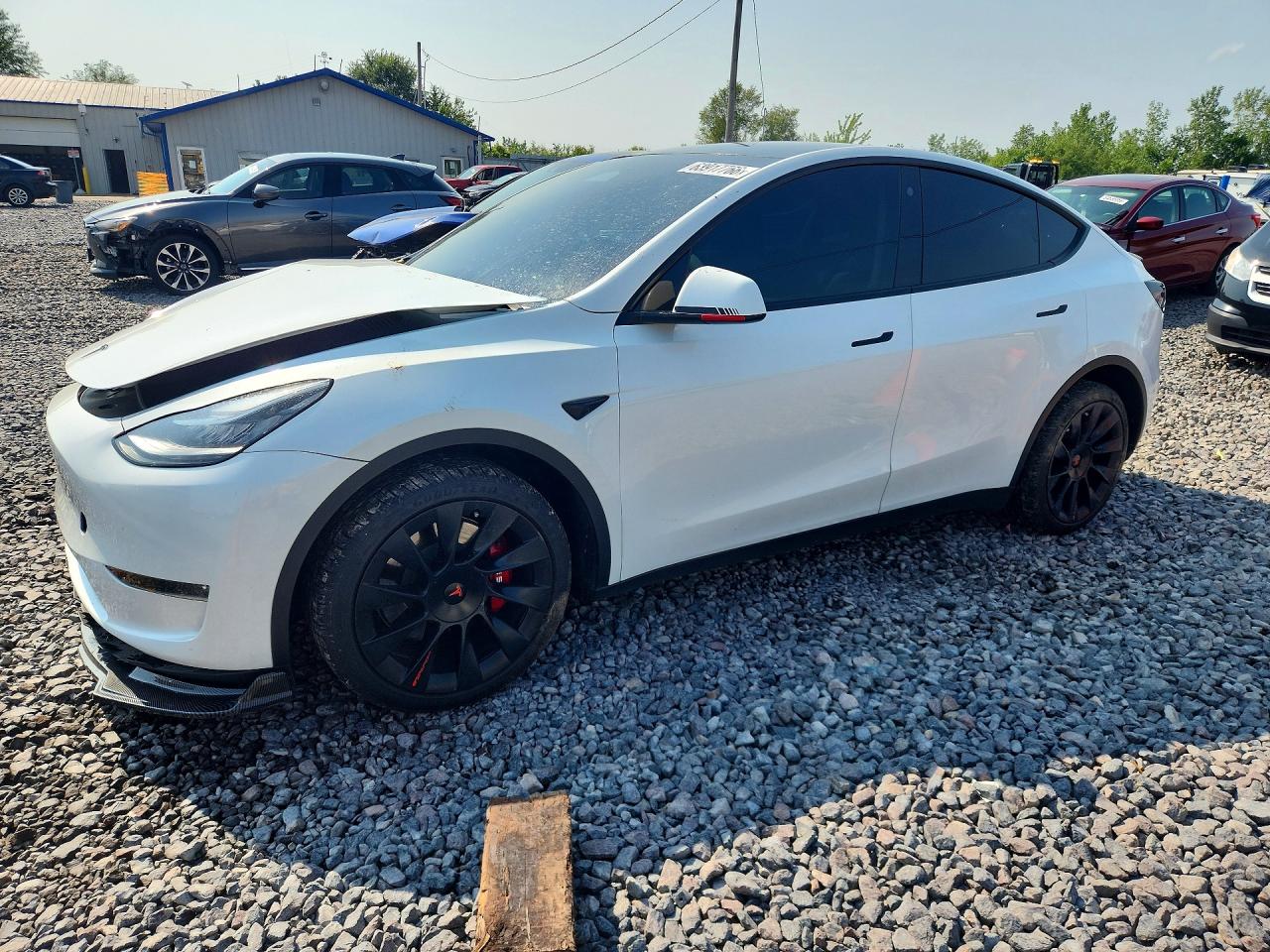 2023 TESLA MODEL Y | 7SAYGDEEXPA028300 | UPCARS