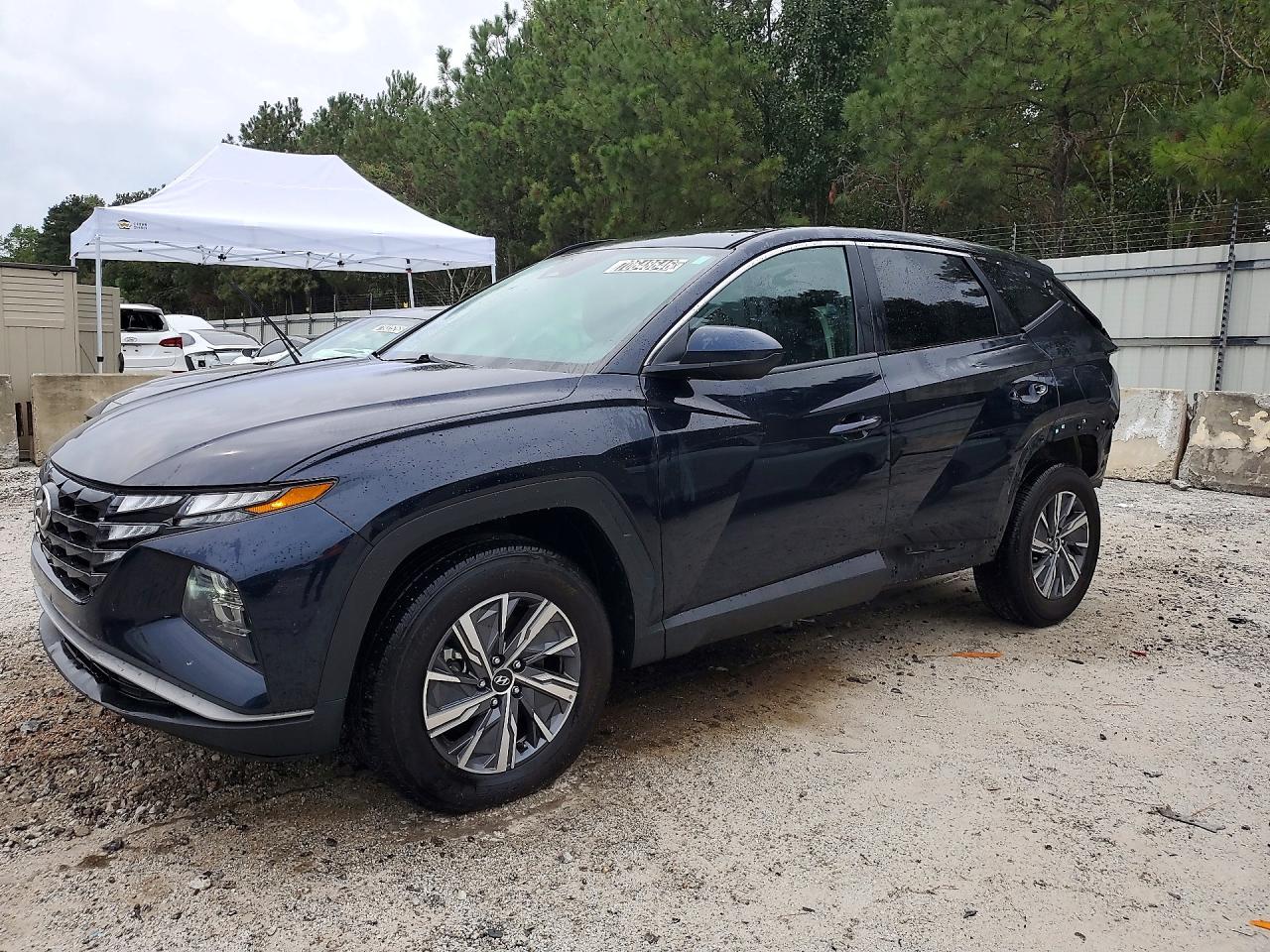 2024 HYUNDAI TUCSON BLUE | KM8JBCD1XRU191205 | UPCARS