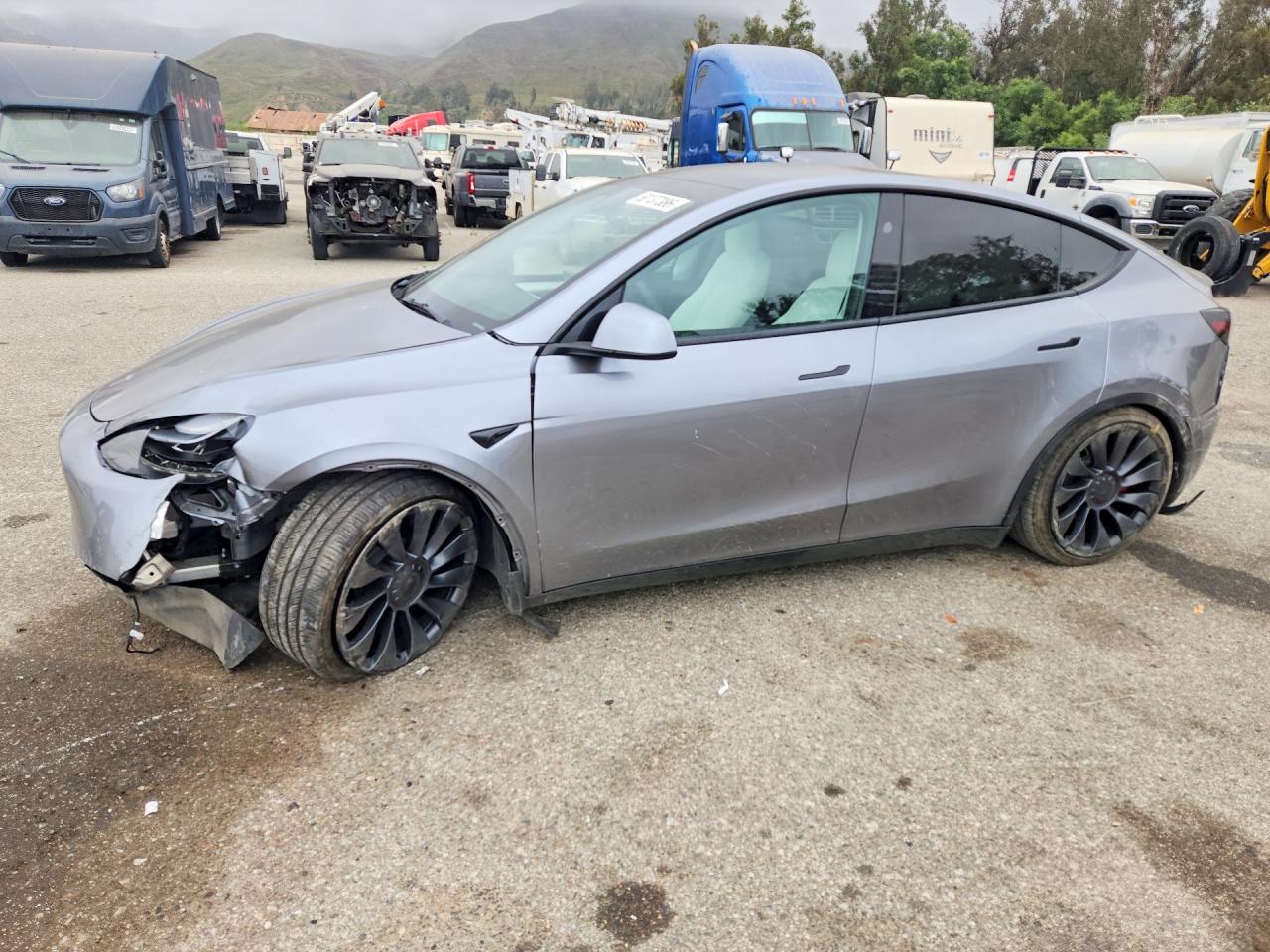 2024 TESLA MODEL Y | 7SAYGDEF3RA296682 | UPCARS