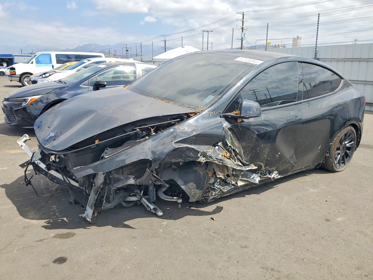2025 TESLA MODEL Y | 7SAYGDED7SF219854 | UPCARS
