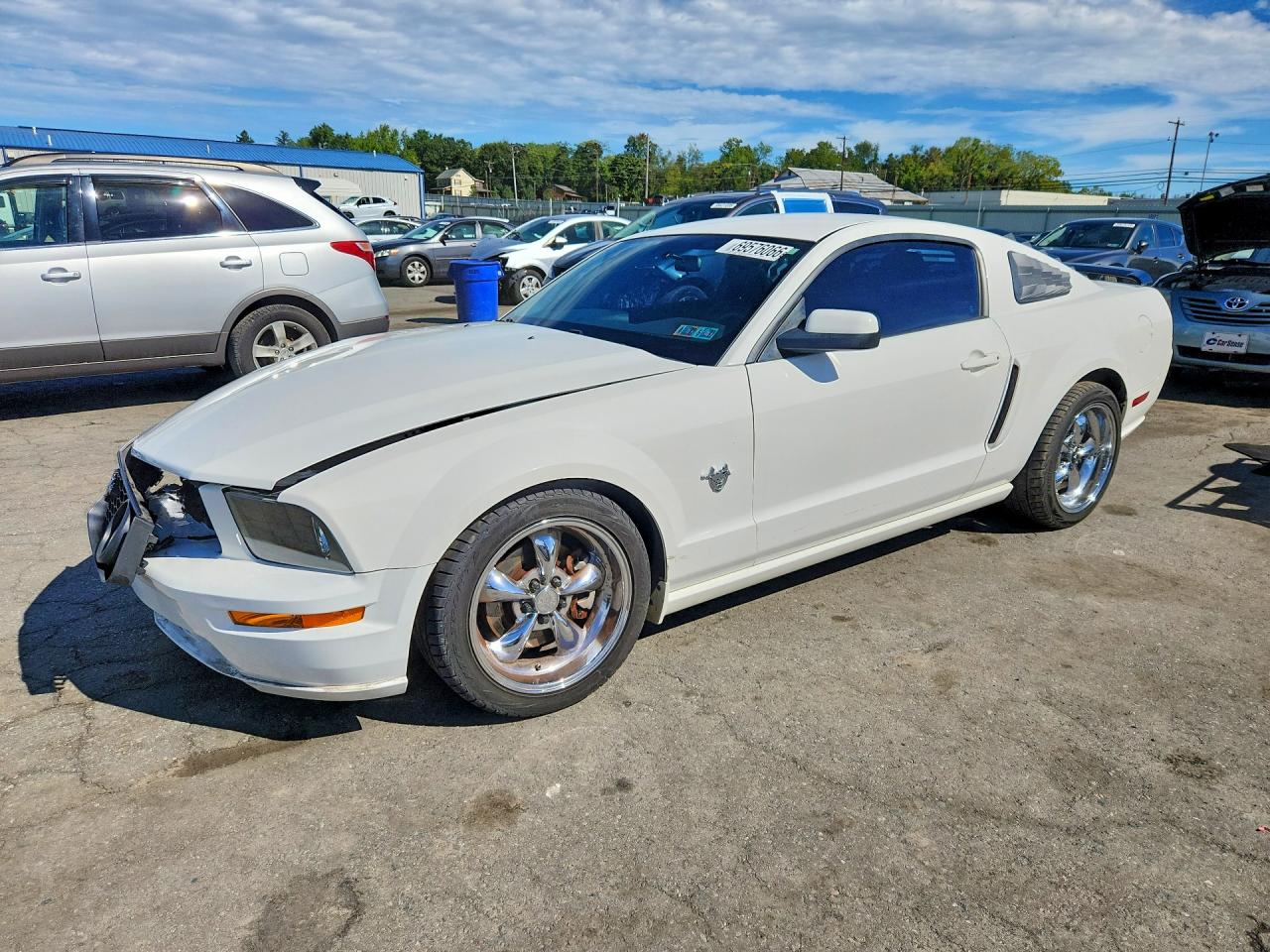 2009 FORD MUSTAN GT | 1ZVHT82H995122980 | UPCARS