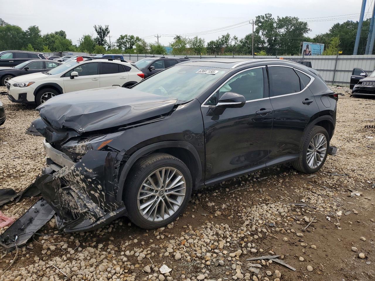 2025 LEXUS NX PREMIUM | 2T2GKCEZ6SC048401 | UPCARS