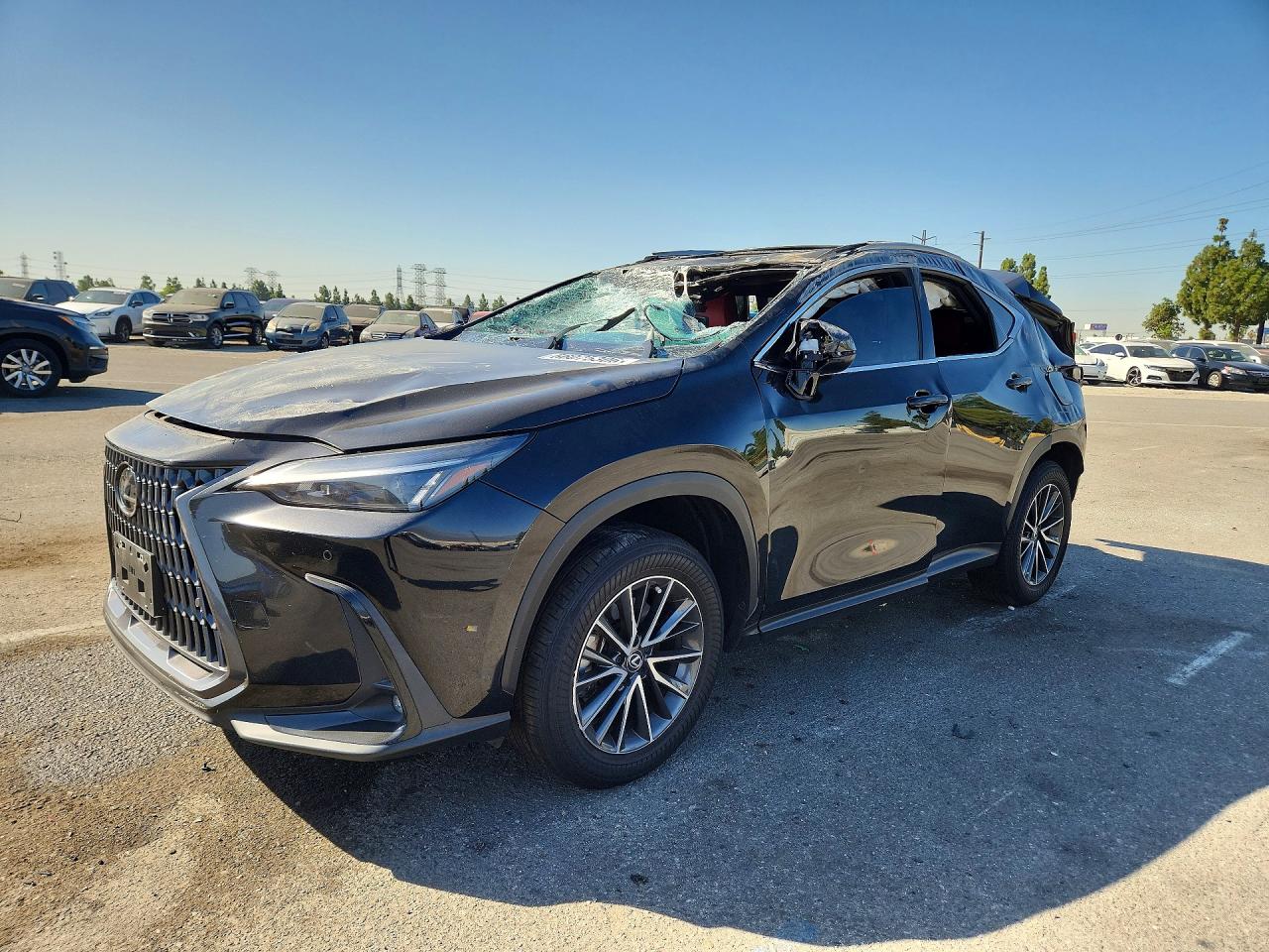2025 LEXUS NX 250 PREMIUM | 2T2GDCAZ4SC020015 | UPCARS