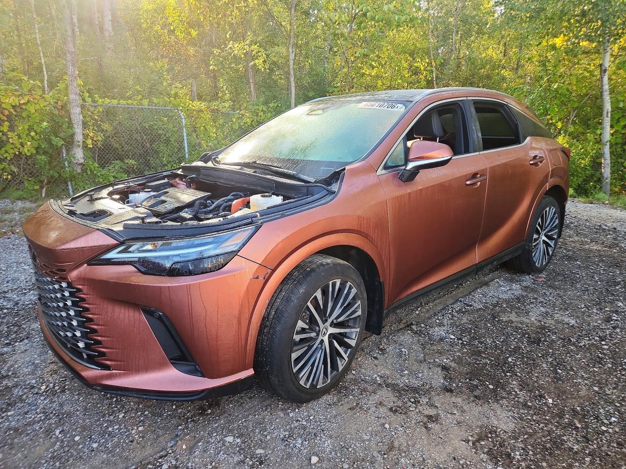 2023 LEXUS RX 350H BASE | 2T2BBMCA2PC018042 | UPCARS