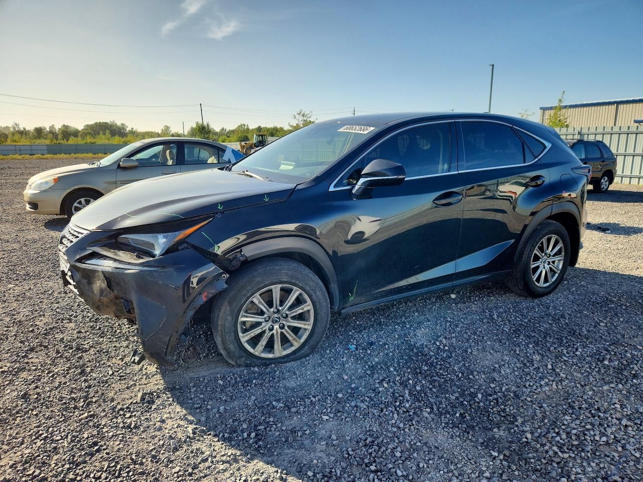 2020 LEXUS NX BASE | JTJAARDZ8L2220894 | UPCARS